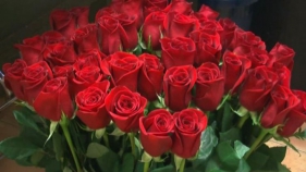 El gremi de floristes, pendent de la fi del confinament per vendre roses per Sant Jordi