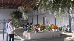 El Guíxols Flors celebra la seva 68ena edició al Barri del Puig