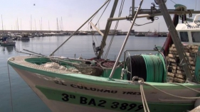 La major part de la flota pesquera de Palamós es queda a port durant l'estat d'alarma