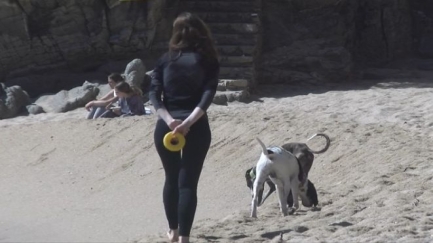 Salvem la Belldona reclama un vigilant a l’accés de la platja per prohibir els gossos