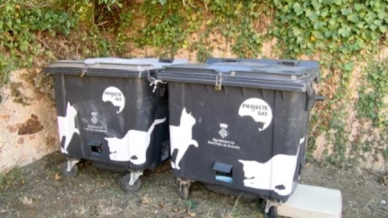Sant Feliu de Guíxols converteix contenidors vells en espais per a les colònies de gats