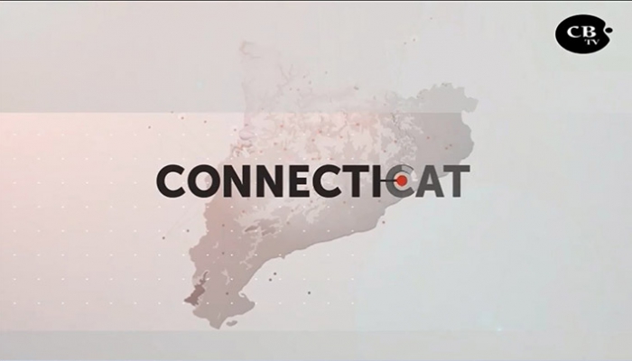 ConnectiCat