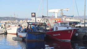 Comencen els 60 dies de veda de la gamba de Palamós