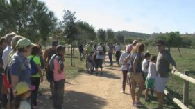 41 visites guiades a Castell-Platja d'Aro durant l'estiu