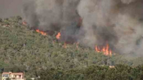 5 anys de l'incendi forestal que va cremar 358 hectàares de les Gavarres