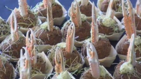 9 restaurants participen a les XXIV jornades 'Tastets de mar: la Clova' de l'Estartit