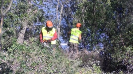 Acció Climàtica fa actuacions estratègiques en un 10% de les Gavarres per evitar incendis