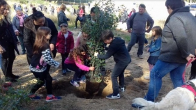 Alumnes de Begur han plantat 15 alzines per celebrar el Dia de la Terra