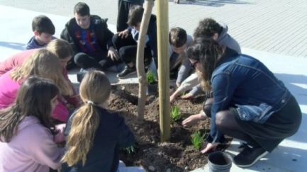 Alumnes de l'Escola de Vall-llobrega decoren la Plaça Països Catalans