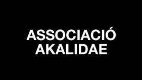 Associació Akalidae - Rua de Carnaval de Platja d'Aro 2020