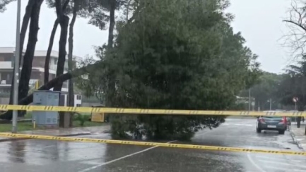 Caigudes d'arbres i garatges inundats a Platja d'Aro