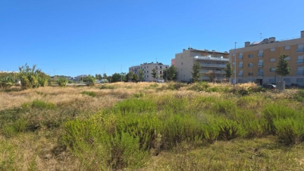 Calonge cedeix dos solars a l'Agència Catalana de l'Habitatge per a pisos protegits