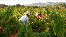 Calonge i Sant Antoni celebra la tercera edició del Verema i Família