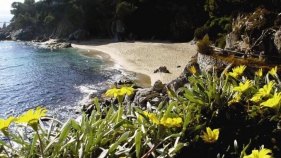 Calonge i Sant Antoni desenvolupa una web per seguir l'aforament de les platges en directe