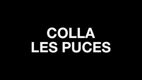 Colla Les Puces