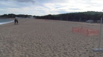 Comencen les feines de millora per la reforma del passeig de Platja d'Aro
