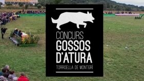 Concurs gossos d'atura -  Torroella de Montgrí 2021