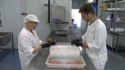 Coneixem l'obrador de l'OPP de Palamós i com creen productes com el Carpaccio de Gambes