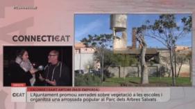 CONNECTICAT - Calonge i Sant Antoni salva una figuera centenària