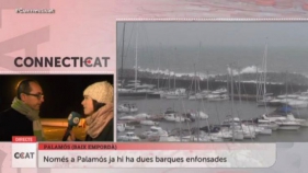 CONNECTICAT - Un desaparegut per la tempesta a Palamós