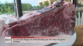 CONNECTICAT Vedella Wagyu a l'Empordà