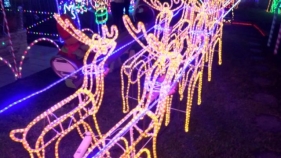 CONNEXIÓ - Onzè any de l'encesa de llums de Nadal al jardí de l'edifici Delta de Calonge