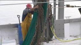 D'aquí a 5 anys un 40% de pescadors de la confraria de Palamós s'haurà jubilat