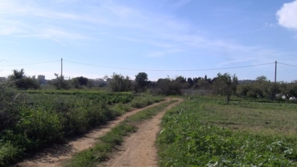 Demanen a l'Ajuntament de Calonge que no ubiqui els horts lúdics en sòl de valor agrícola