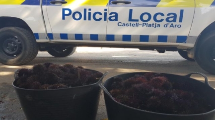 Denuncien dos pescadors furtius a s'Agaró per extreure més de 550 garotes en un dia