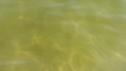 Denuncien que l'aigua de Sant Pol està bruta i l'ajuntament ho atribueix a fets naturals
