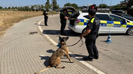 Detecten un augment de la venda de droga a domicili durant l'estiu a Palafrugell