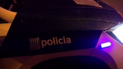 Detenen un home pel robatori en un estanc de Verges