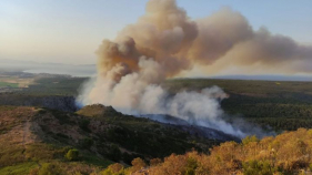 Detenen un home per provocar dotze incendis al Parc Natural del Montgrí