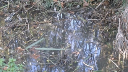 El Baix Ter reclama mesures urgents per garantir l’aigua al territori