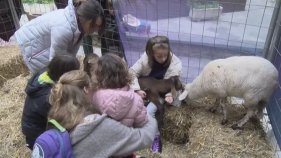 El Calonge Vila de Nadal converteix el centre calongí en un parc infantil a cel obert