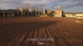 El Castell Dalí de Púbol rep un 78% menys de visitants durant el 2020