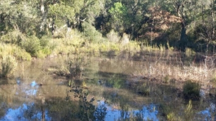 El Consorci de les Gavarres compra una finca d'alt valor ambiental
