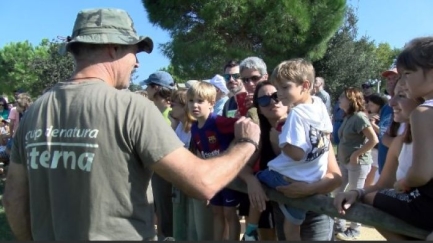 El Dia Internacional dels Ocells, una jornada de celebració al Parc dels Estanys