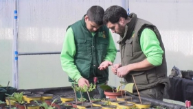 El grau de jardineria de la Bisbal ja treballa a ple rendiment