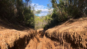 El Grup de Natura Sterna torna a denunciar l’accés de motos a la llera del Ridaura