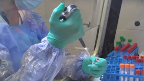 El laboratori de l'Hospital de Palamós és autònom per analitzar totes les PCR que realitza