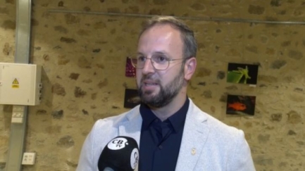 El mar de Sant Antoni presenta uns valors ambientals molt alts