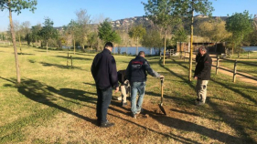 El misteriós monòlit de Platja d'Aro desapareix del parc dels Estanys