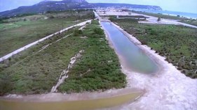 El Museu de la Mediterrània exposa el desenvolupament del Projecte Life Pletera