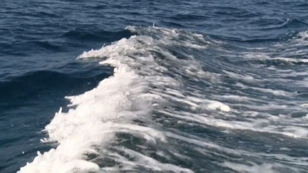 El Niño i el canvi climàtic, dos fenòmens que augmentaran més la temperatura del mar