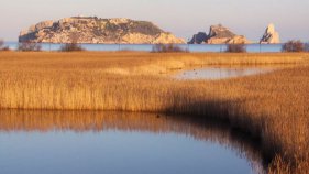 El Parc Natural del Montgrí celebra el dia Europeu dels Parcs