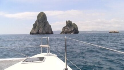 El projecte LIFE A-MAR fa escala al Montgrí per reivindicar el patrimoni marí