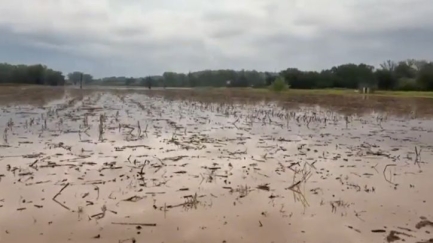 El sector de la pagesia afectada per les inundacions torna a reclamar la neteja de rius
