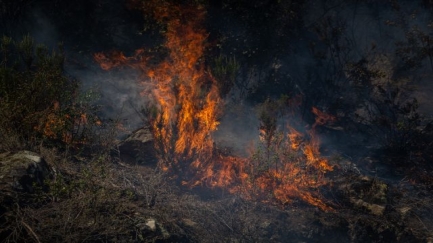 El tancament de les Gavarres arran de l'incendi i el 'risc extrem' de nous focs