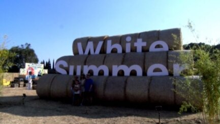 El White Summer no se celebrarà aquest estiu
